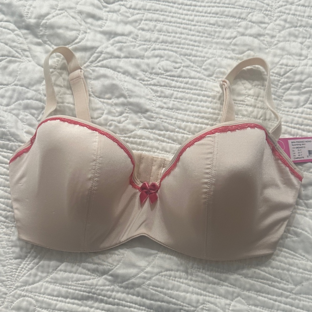 Chic Cream and Pink Bra